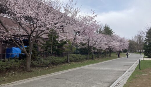 札幌に戻ってきました！！