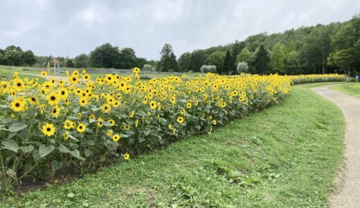 秋になった札幌と、8月のこと。